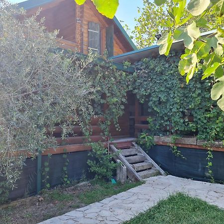 אולסינץ' Holiday Home Kite House מראה חיצוני תמונה