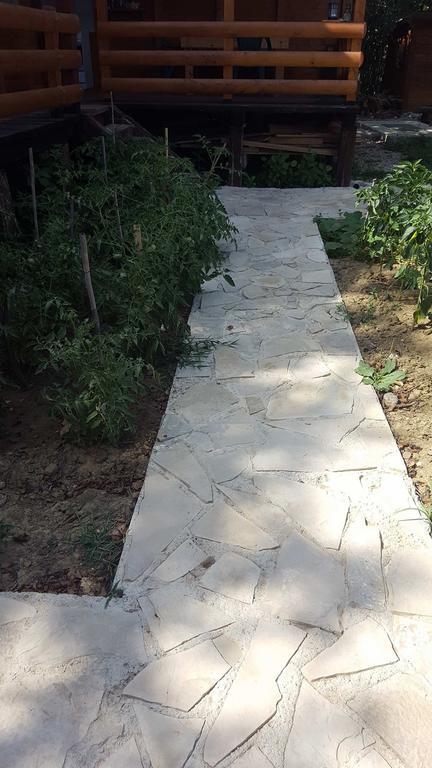אולסינץ' Holiday Home Kite House מראה חיצוני תמונה