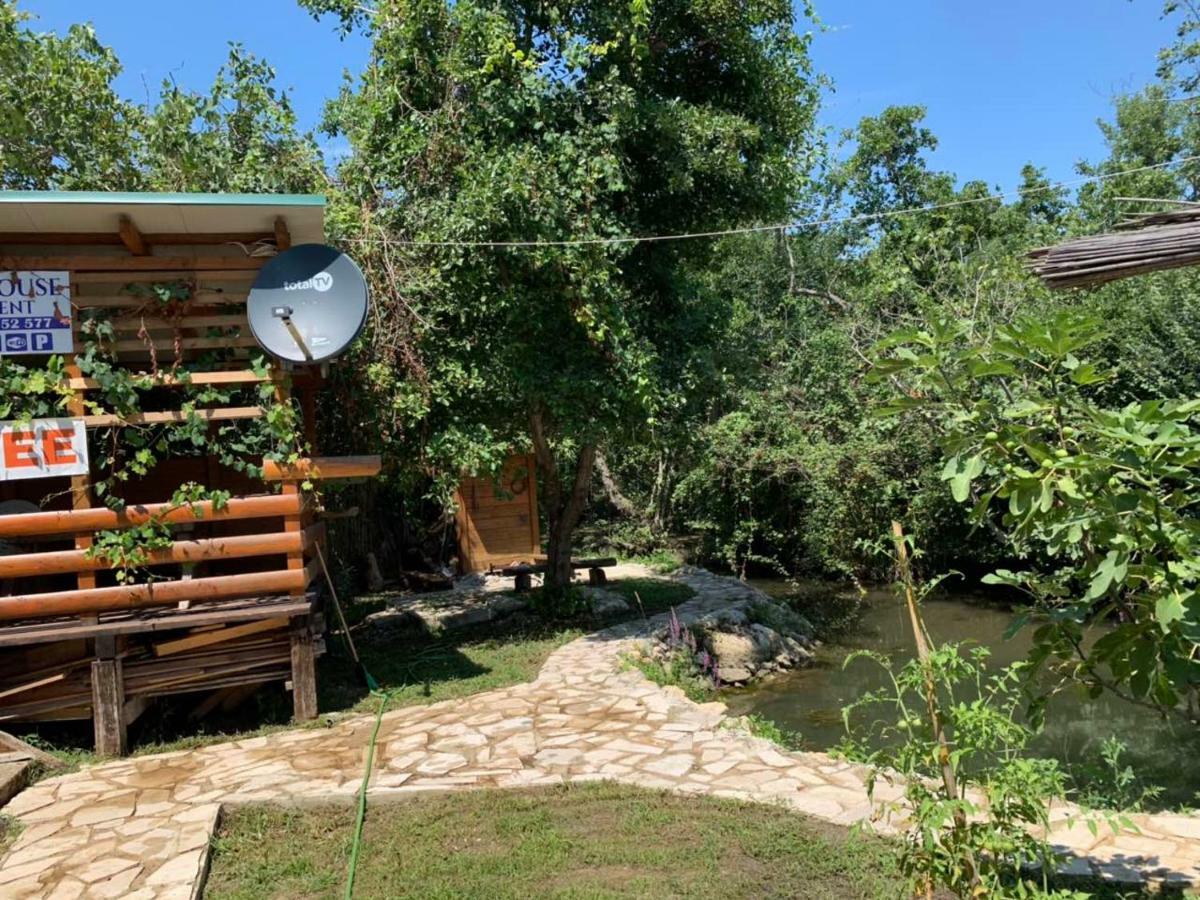 אולסינץ' Holiday Home Kite House מראה חיצוני תמונה