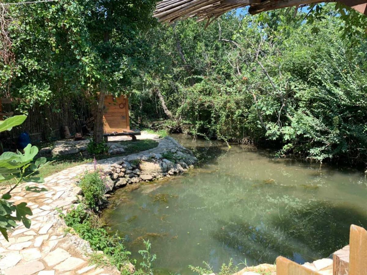 אולסינץ' Holiday Home Kite House מראה חיצוני תמונה